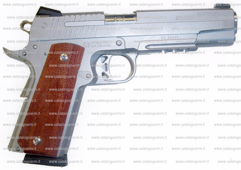 Pistola Sig Arms modello GSR (15118)