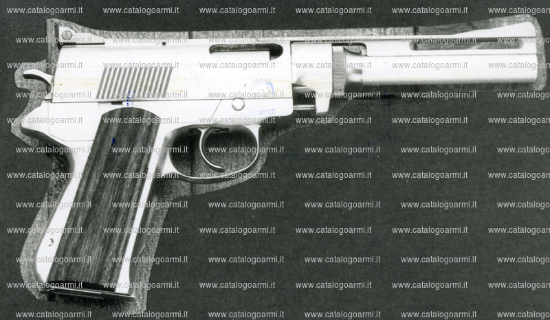 Pistola Wildey modello wildey Magnum 8 (tacca di mira regolabile) (7414)