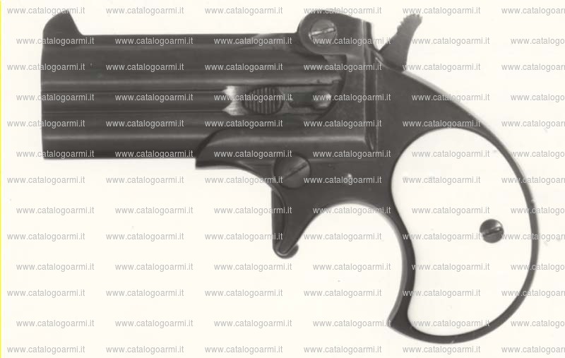 Pistola derringer TANFOGLIO SRL modello Derringer (883)