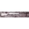 Carabina H.S. Precision modello 2000 Bignami Hunter (12903)