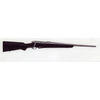 Carabina Remington modello 700 Titanium (14951)