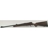 Carabina Sig modello Sig 98 (10955)