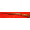 Fucile Savage Arms Canada modello 93r17 (15081)